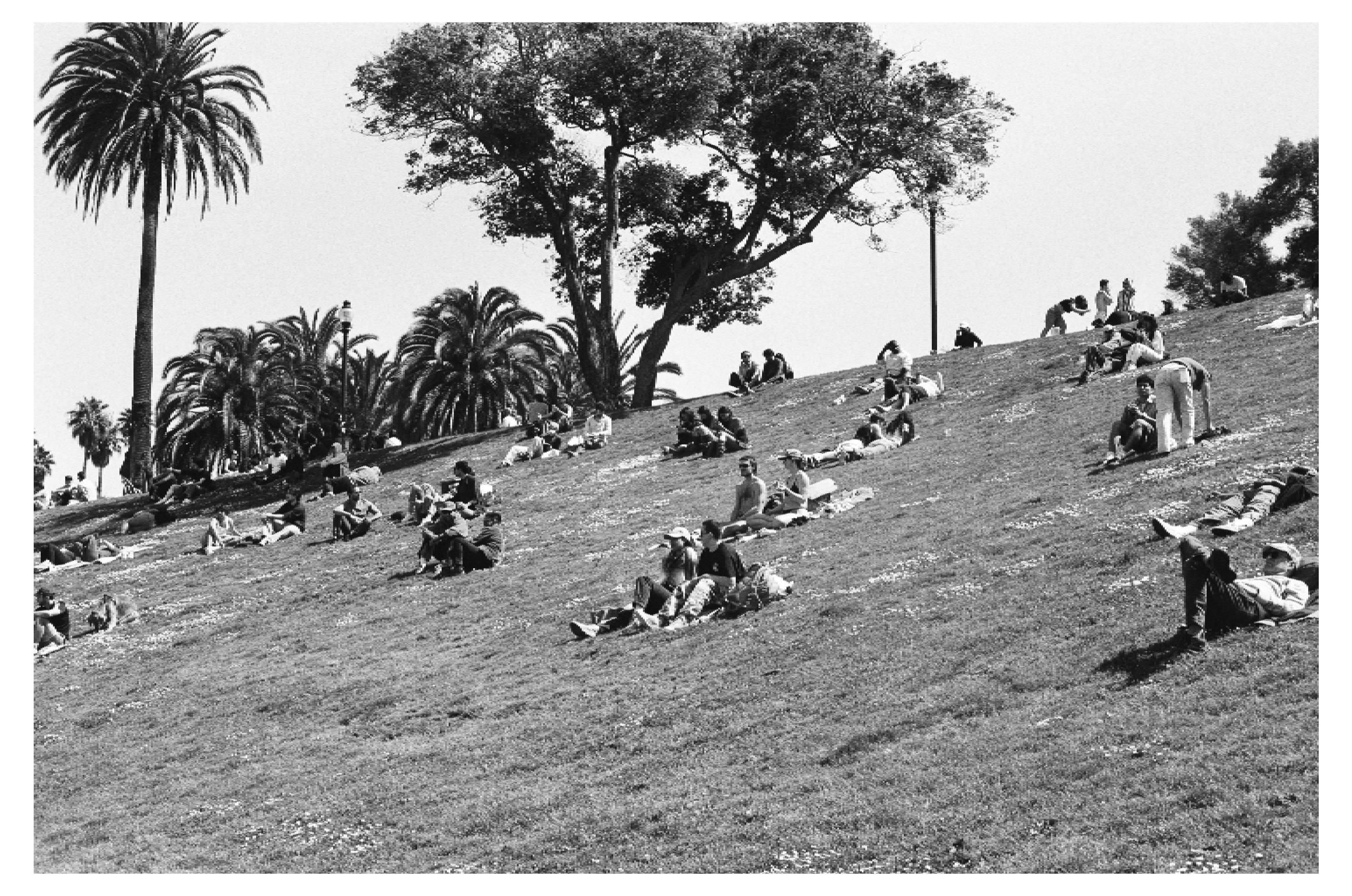 pic-from-NikonF3