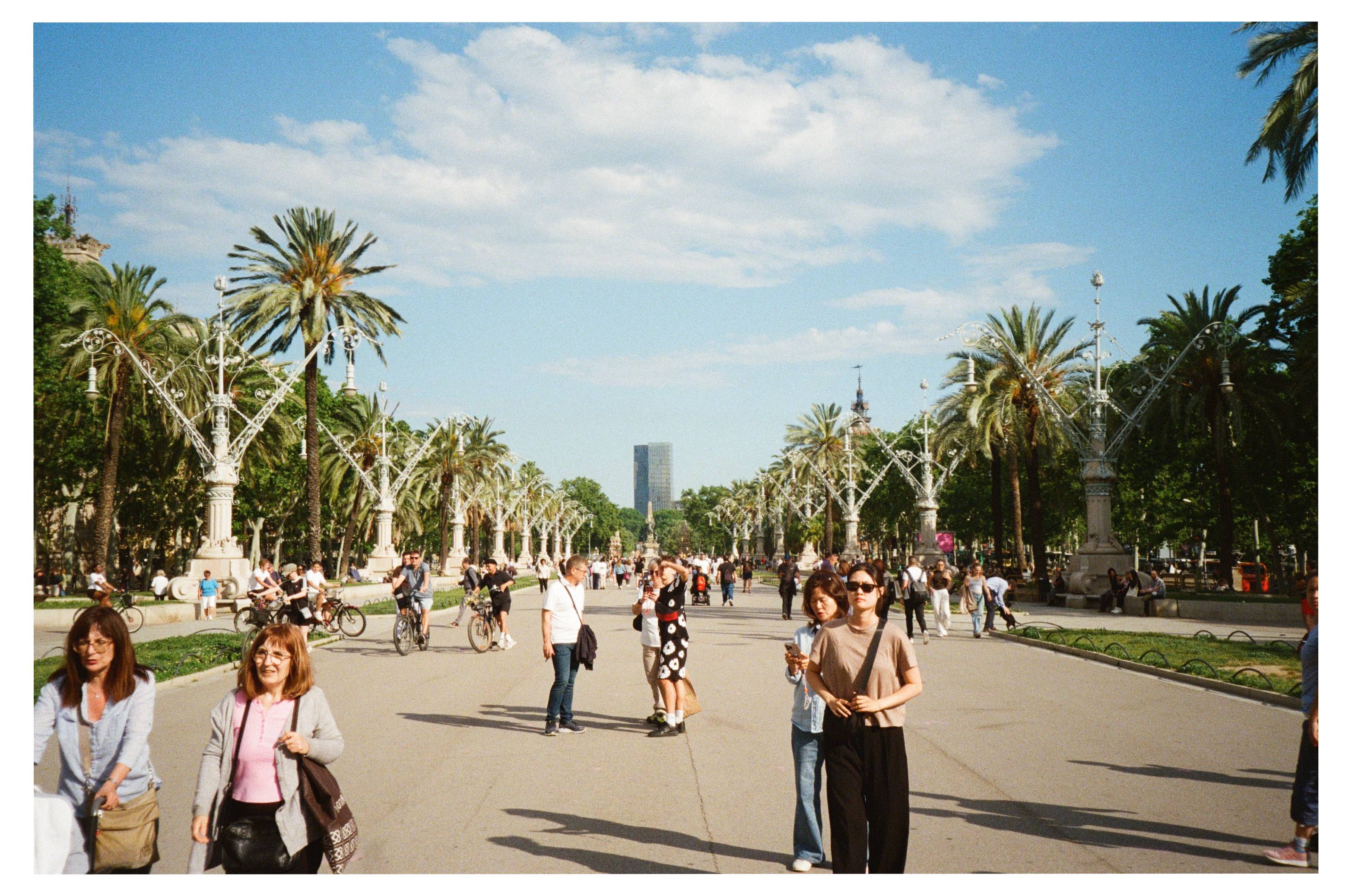 pic-from-Spain