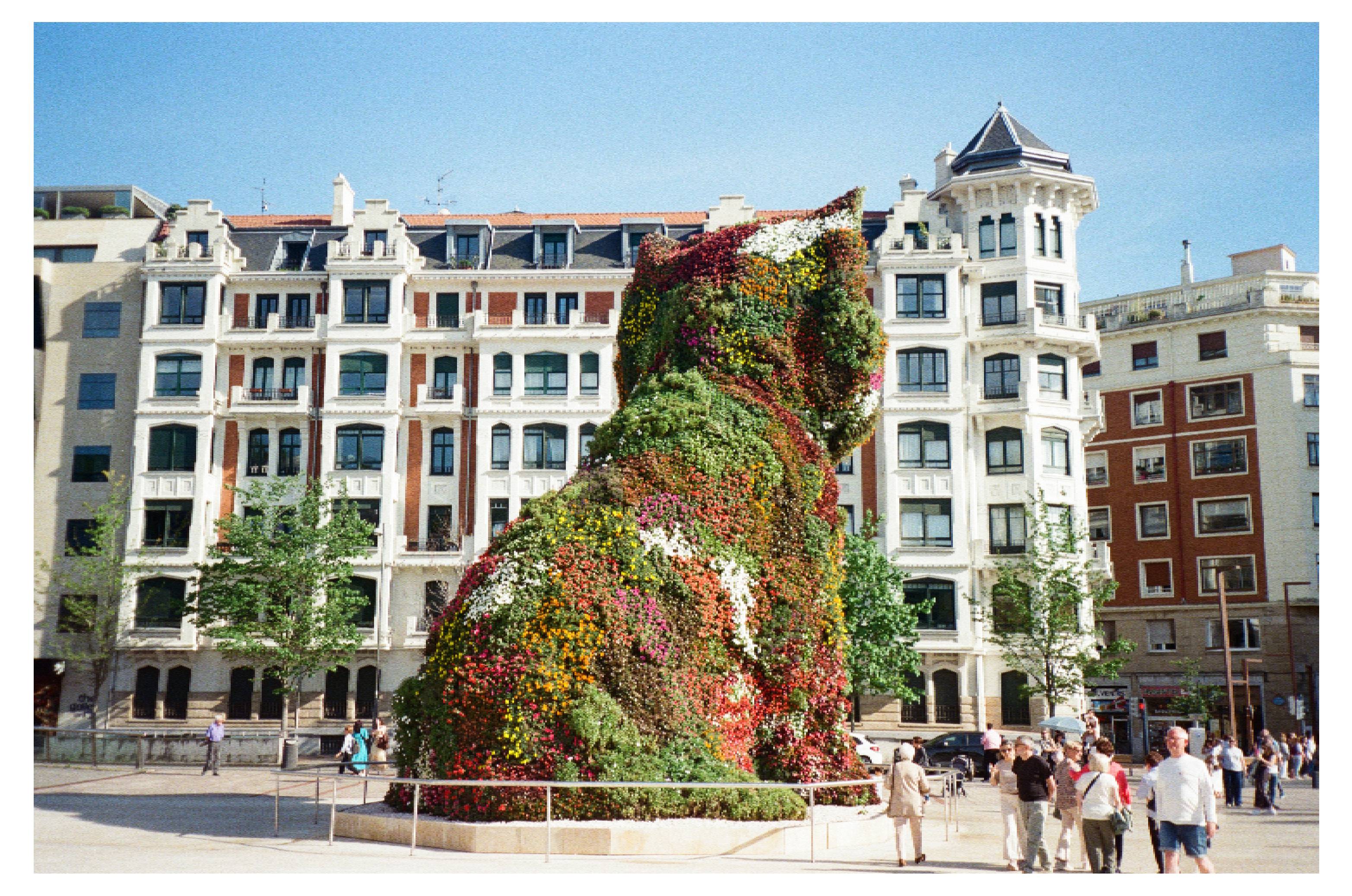 pic-from-Spain